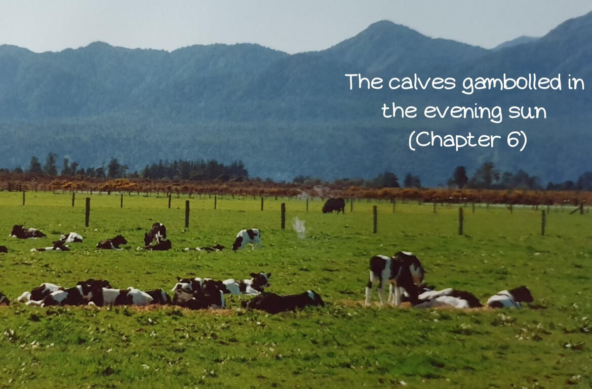 The calves gambolled in the evening sun (Chapter 6)