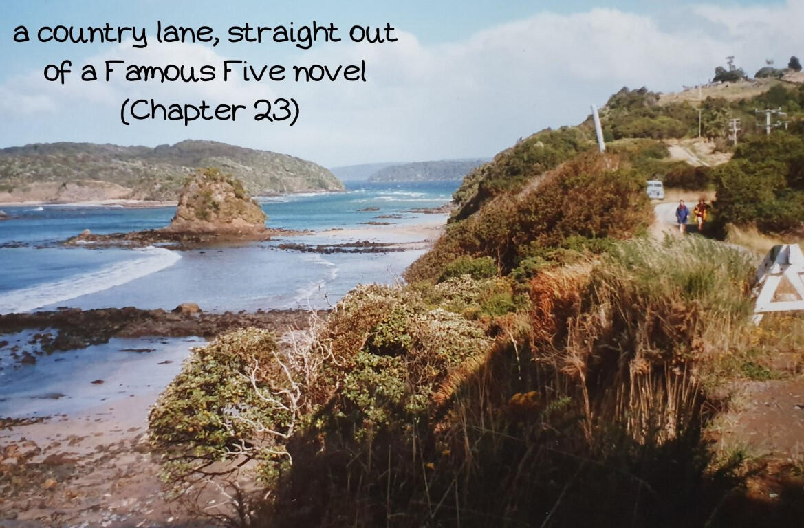 a country lane, straight out of a famous five novel (Chapter 23)