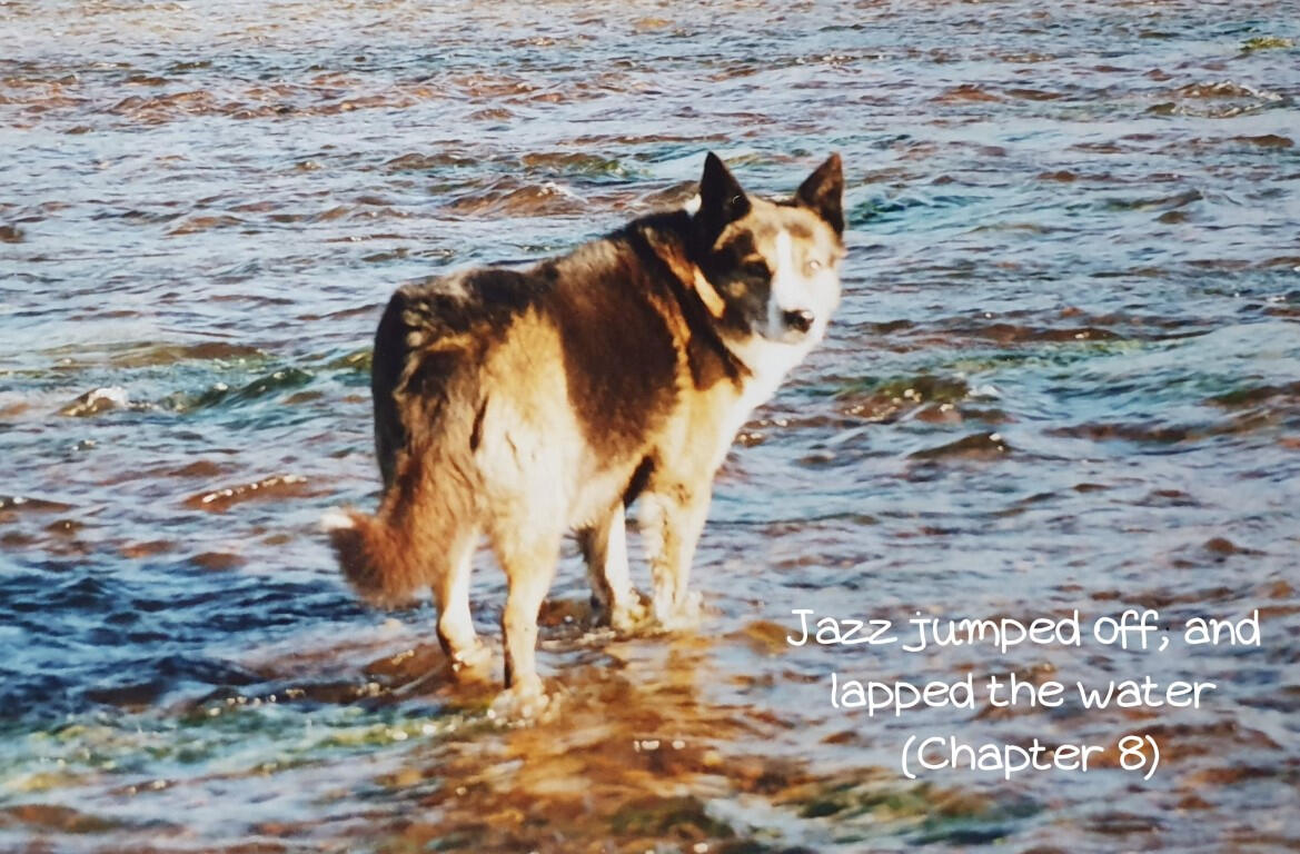 Jazz jumped off and lapped the water (Chapter 8)