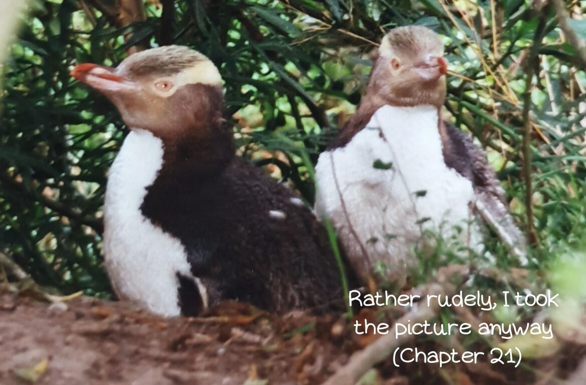 Rather rudely, I took the picture anyway (Chapter 21)