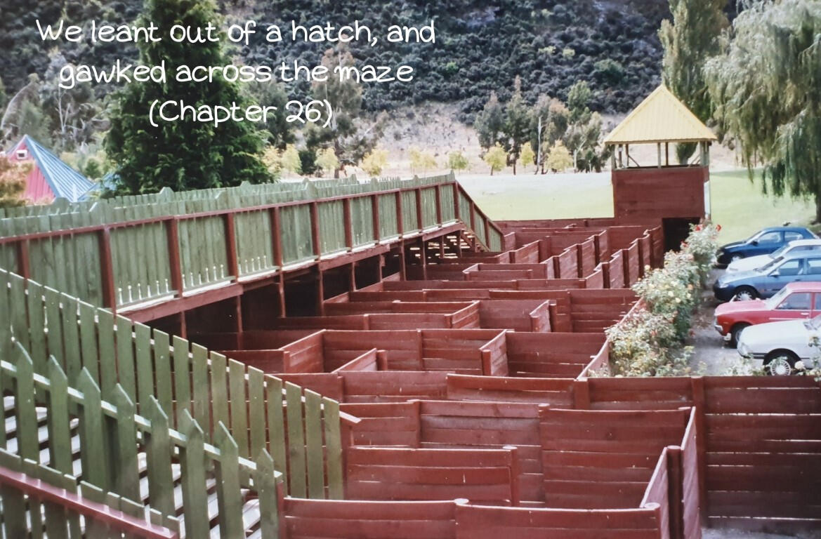 We leant out of a hatch, and gawked across the maze (Chapter 26)